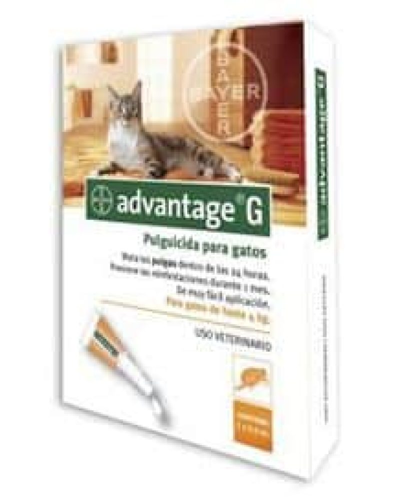 advantage-g.jpg