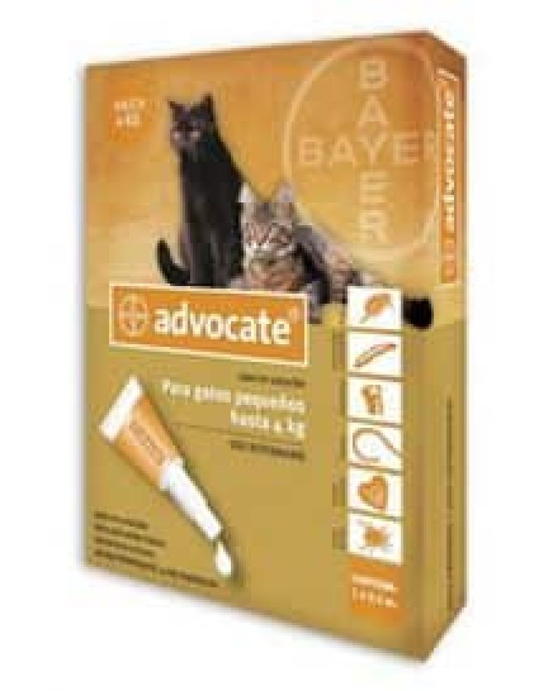 advocate_gato_pequ_o.jpg