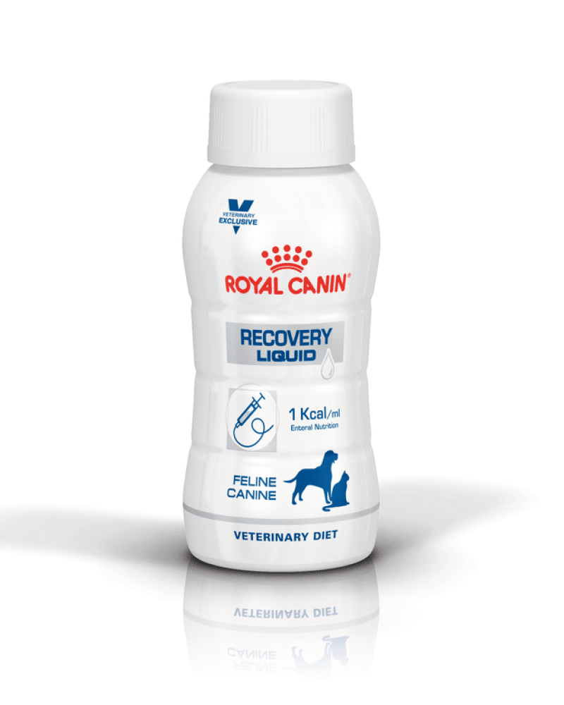 ar-l-producto-recovery-perro-y-gato-liquido-veterinary-diet-humedo