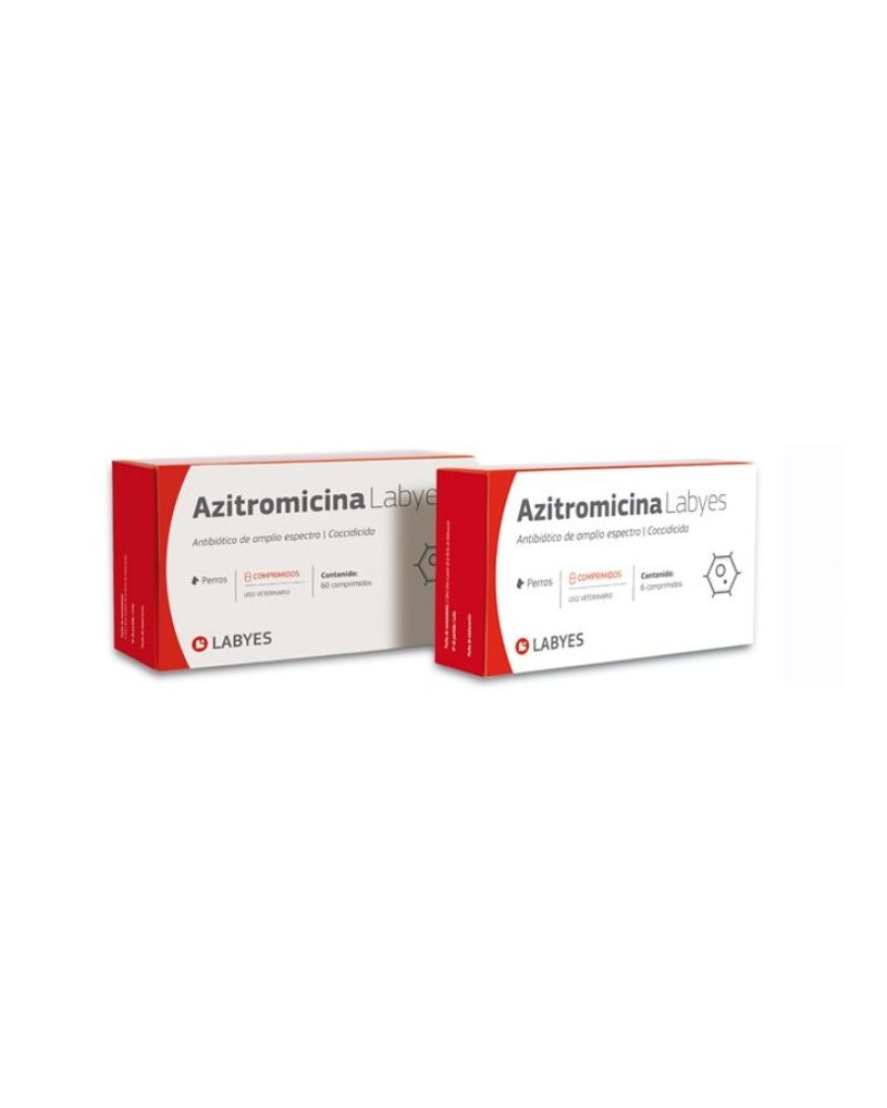 azitromicina-e1758816020614-1.jpg