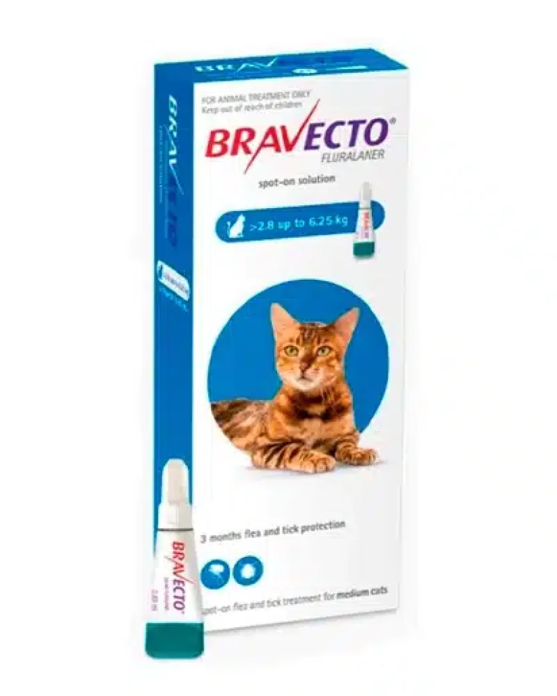 bravecto-para-gatos-entre-2-y-6-kg1-0424733e488ec49b0716028035527413-1024-1024