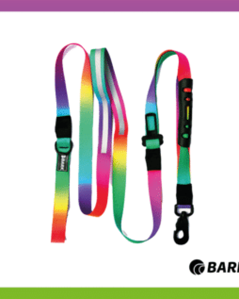 correa-rainbow1-c98fa8a70d23554a0816265790181834-320-0