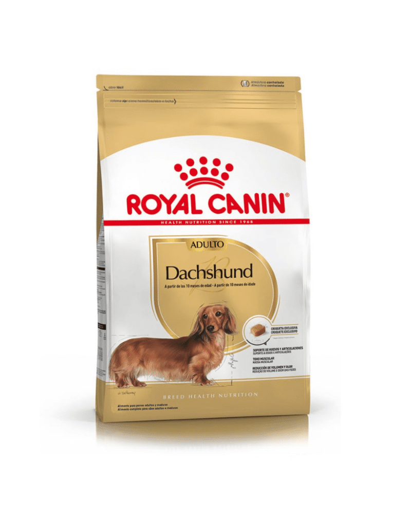dachs1-1a86758294512bc14816503000345741-1024-1024