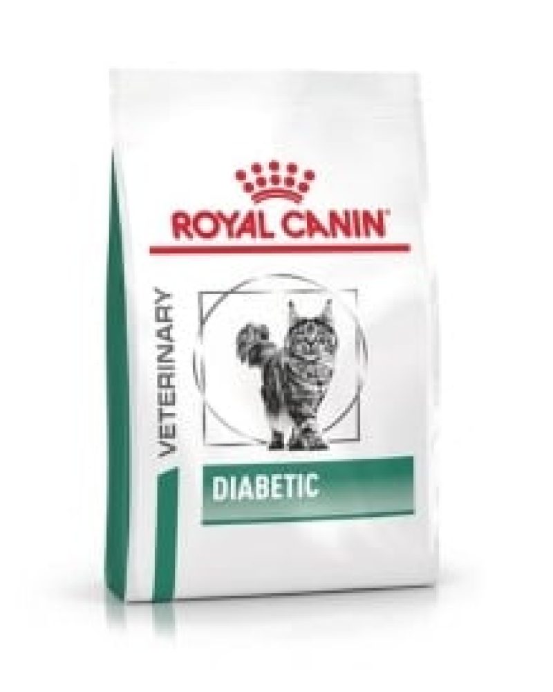 diabetic cat rc