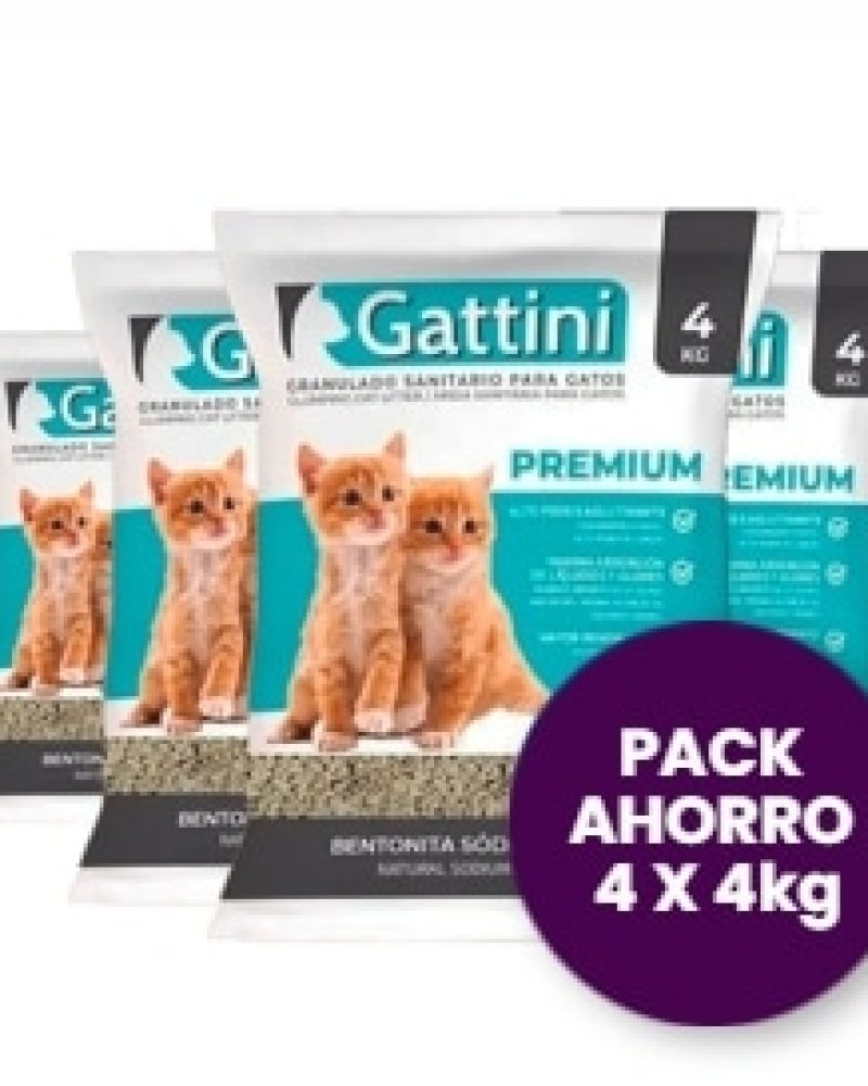 gattini 4x4