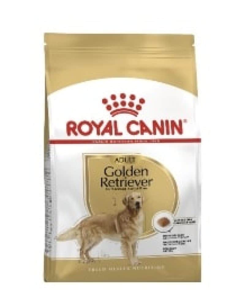 golden adult rc