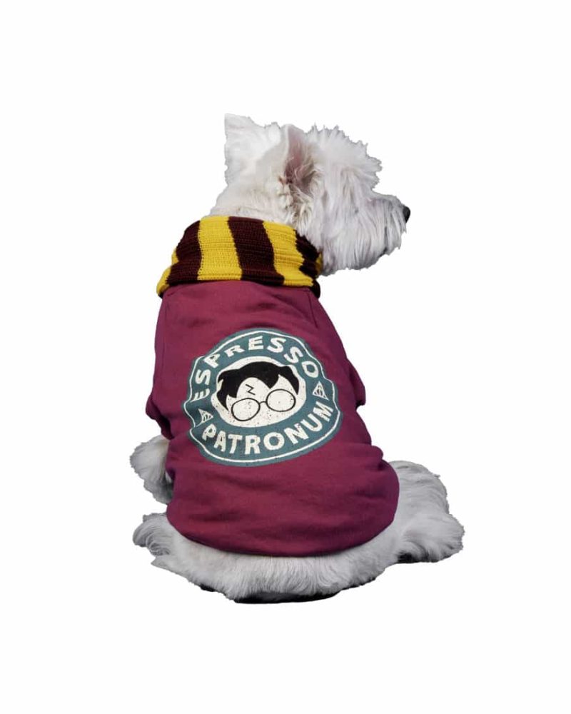 harry-buzo-bordo-07