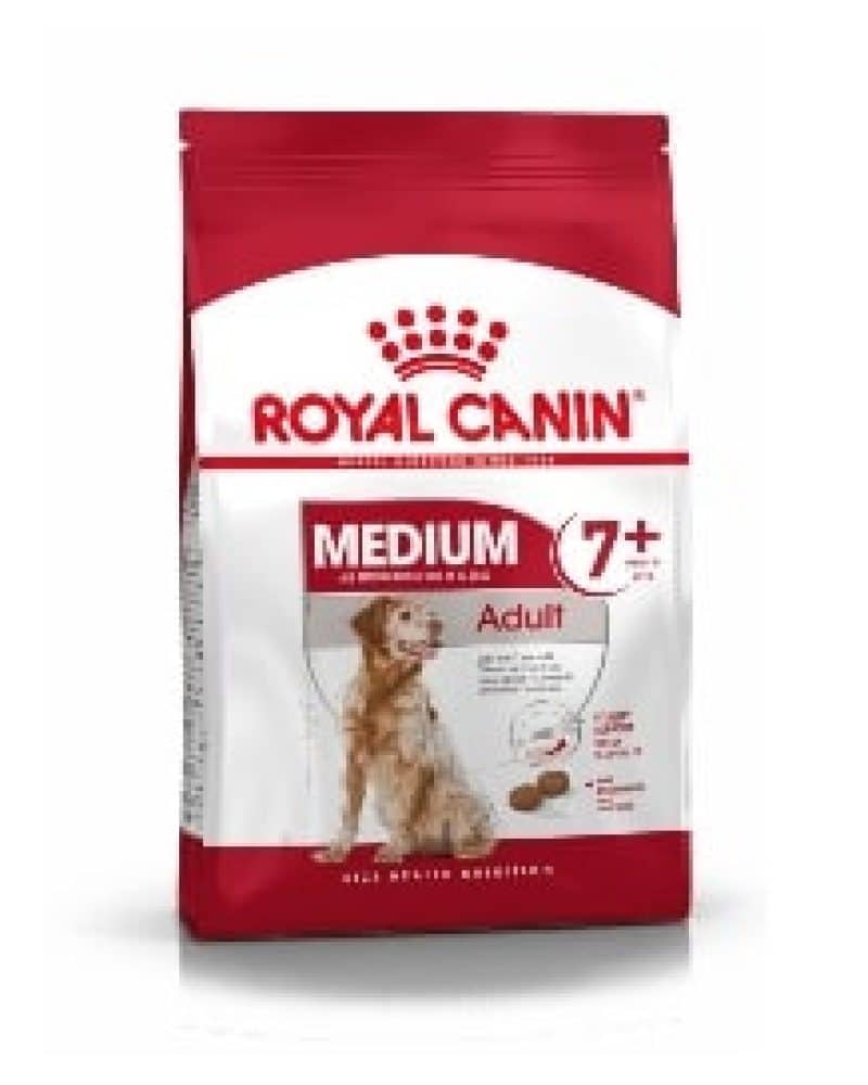 medium adult +7