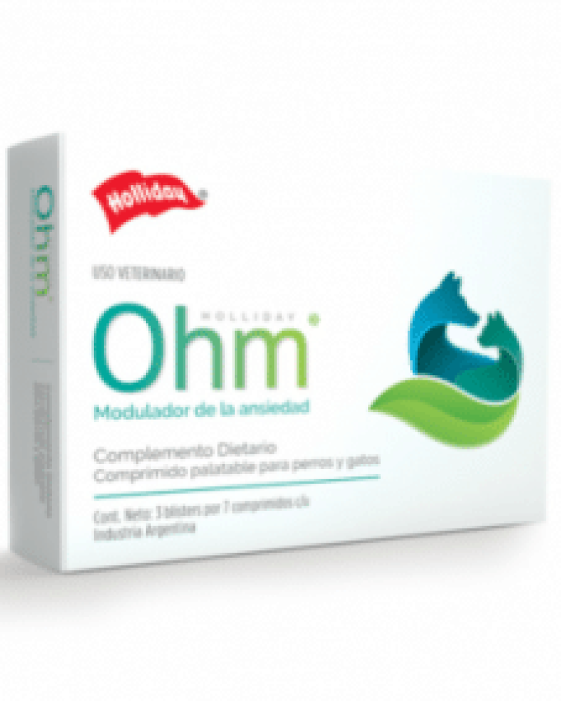 ohmholliday-e1560800140307.png