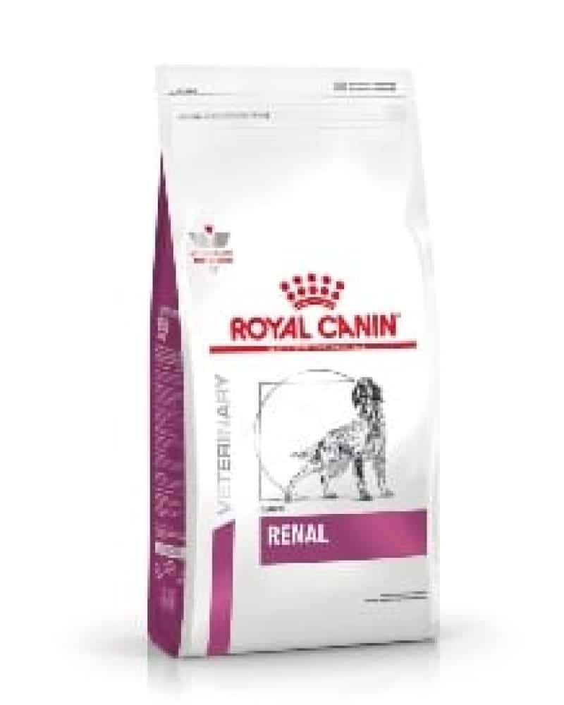 renal dog rc
