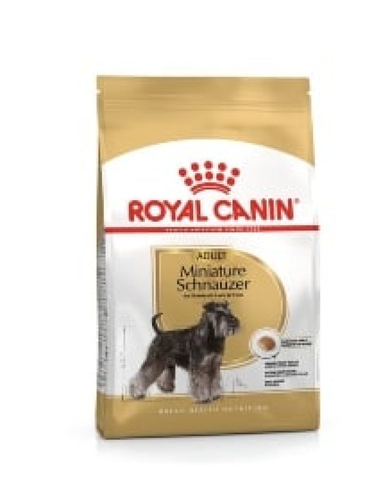 schnauzer mini rc