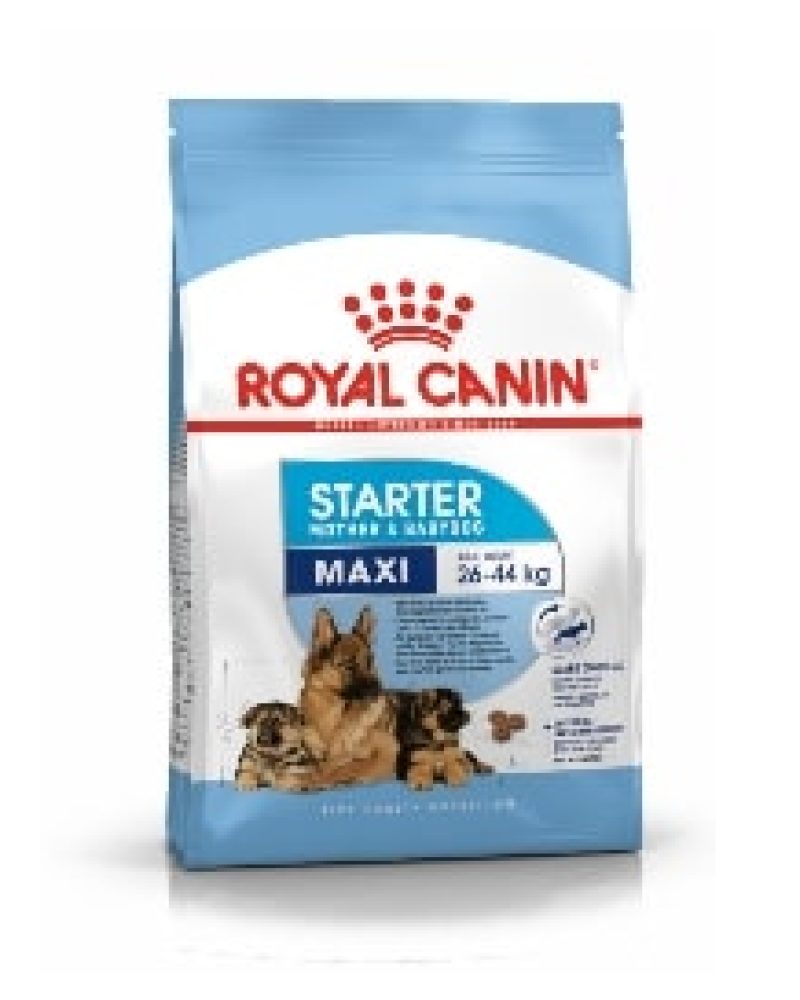 starter maxi