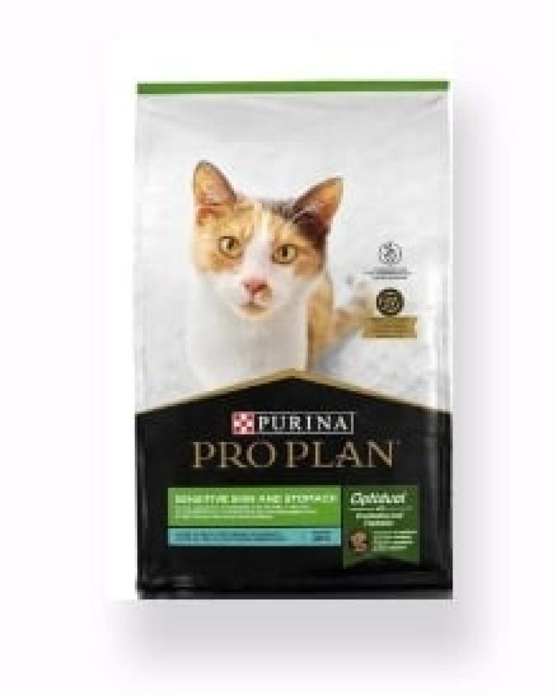 stomach gato