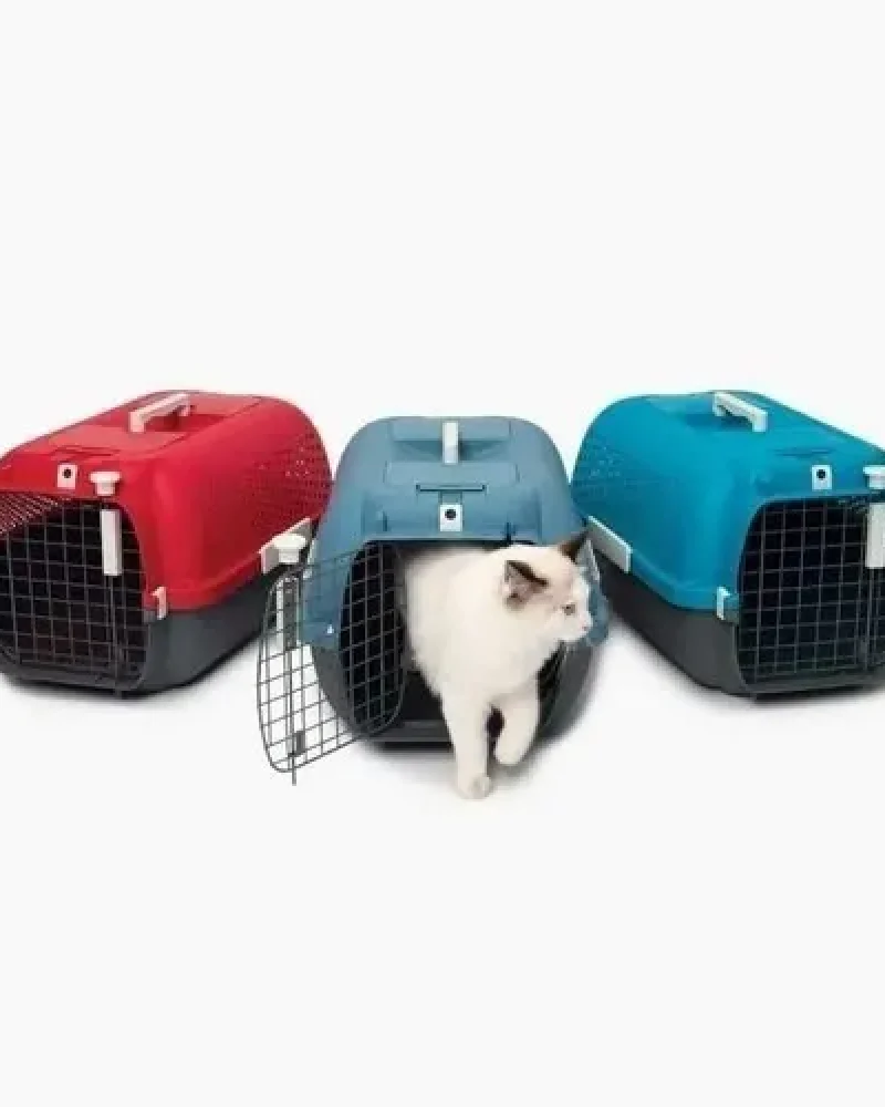 voyageur cat it