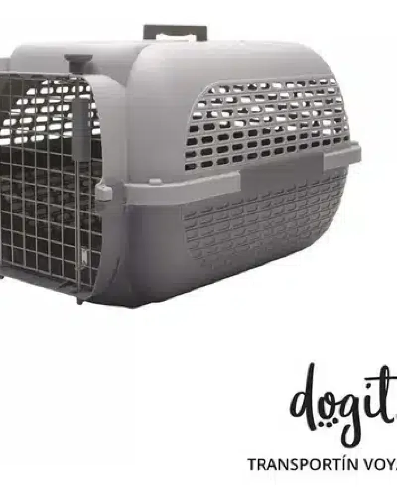 voyageur dog it gris